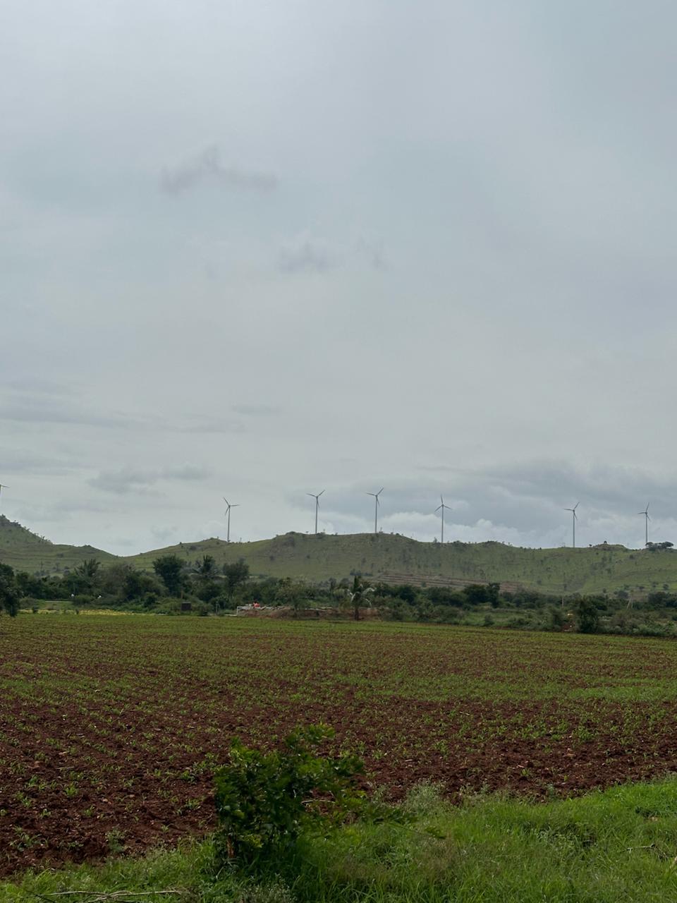 Wind turbines on green hills beyond a cultivated field