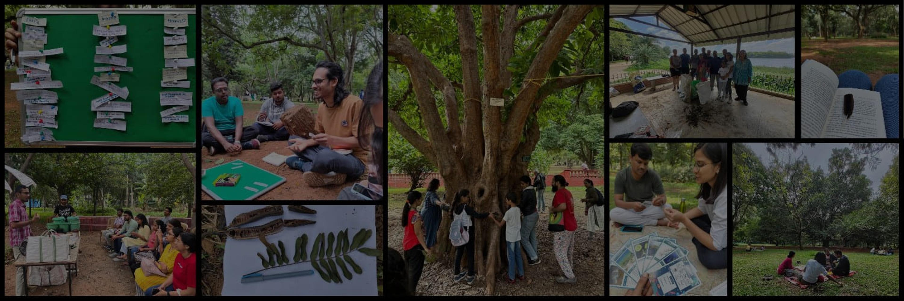 Terrum community activities collage showing outdoor learning and environmental education